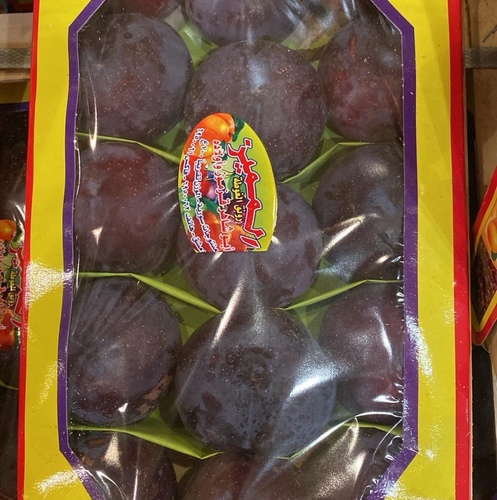 كوجا صندوق