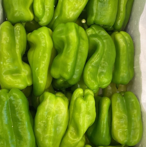 حلوه حشو فلين كبير