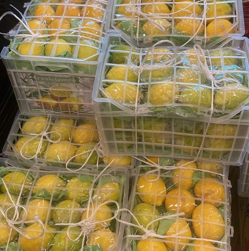 Medium Turkish Lemon Cork