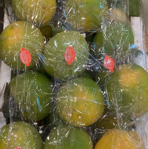 برتقال ابوصره سله ٥ كيلو