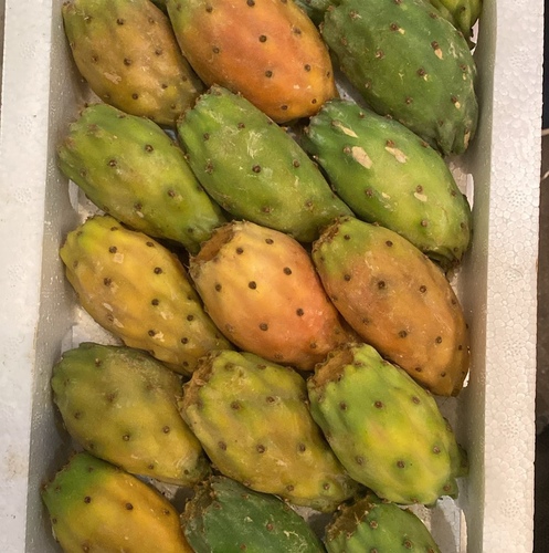 تين شوكي فلين