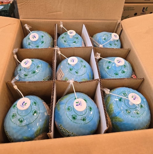 جوز هند  عصير طبيعي حبه