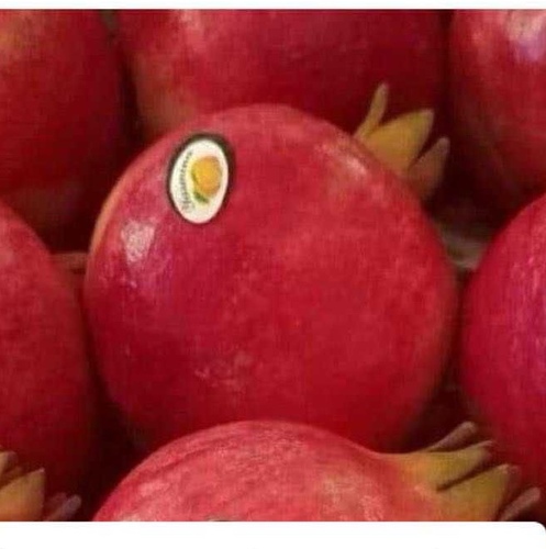 ح Pomegranate