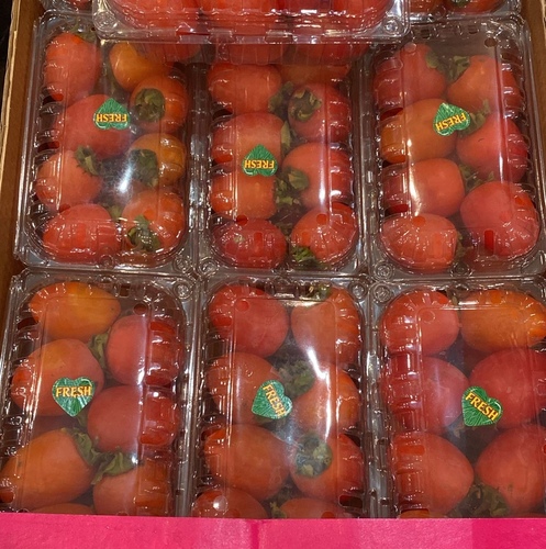 كاكا لبناني سكريه  علبه