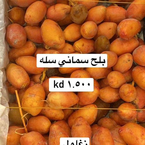 بلح سماني  سله