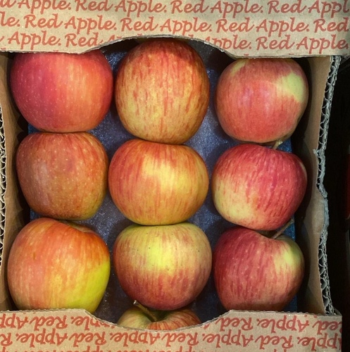 تفاح احمر   كرتون