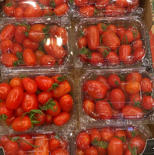 طماطم شيري علبه