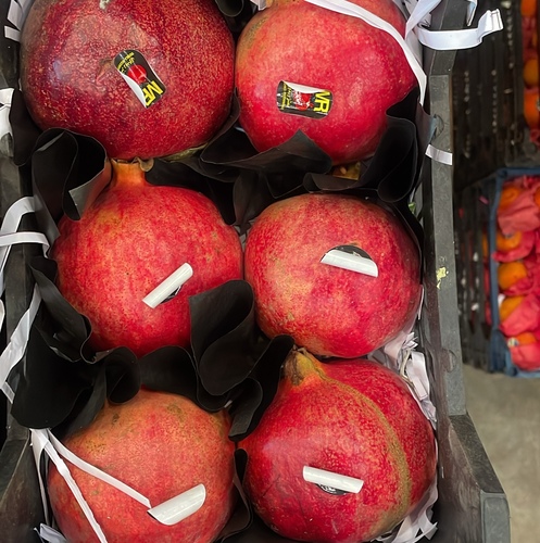 رمان سوري سله