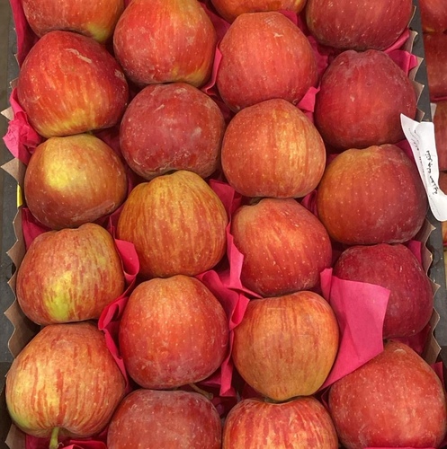 تفاح احمر  ٤ كيلو (عرض)