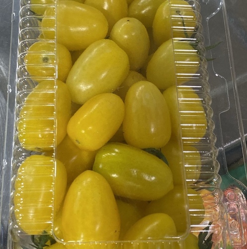 طماطم شيري اصفر