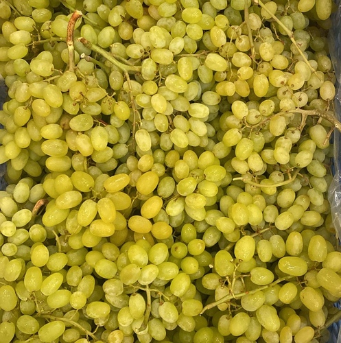 Grapes Without Seeds