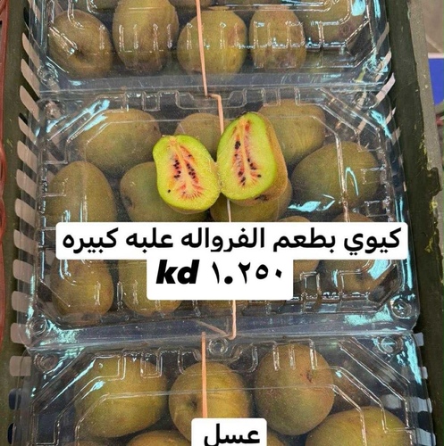 كيوي  بطعم الفراوله علبه  كبيره