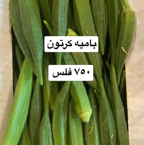 باميه كرتون