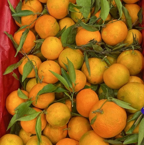 افندي بلدي كيلو