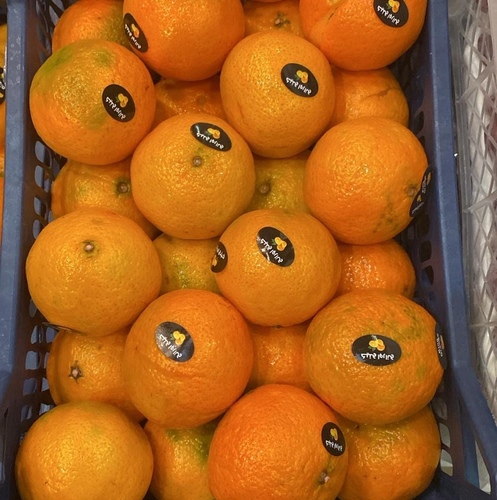 افندي مصري سله