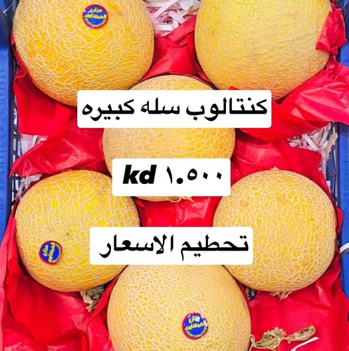 كنتالوب سله