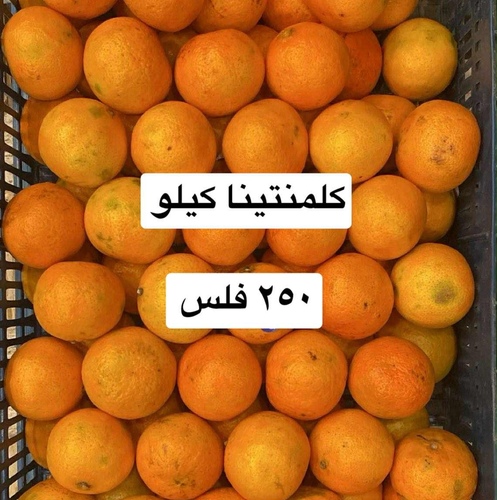 افندي  كيلو