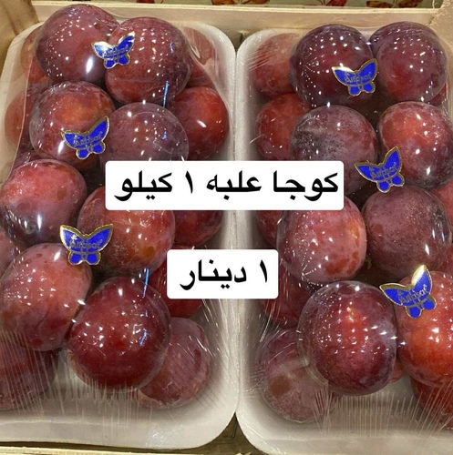 كوجا احمر فلين