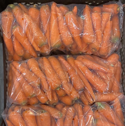 جزر مصري كيس