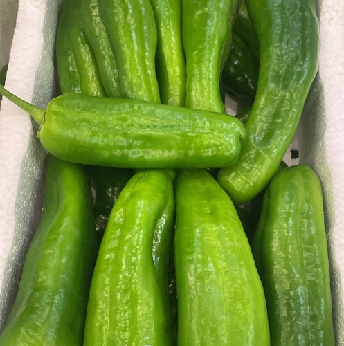 حار غزال حشو فلين