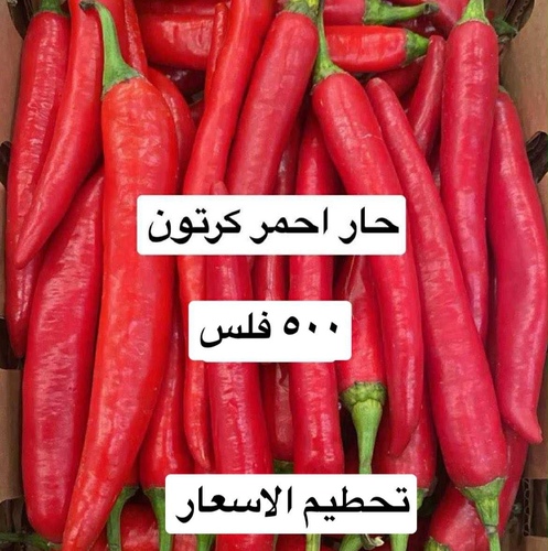 حار  احمر  كرتون