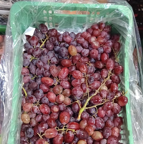 Red Grapes Without Seeds