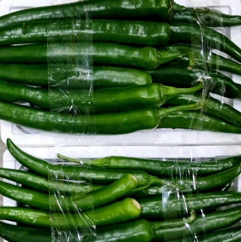 Green Hot Pepper, Kuwaiti Gazelle,