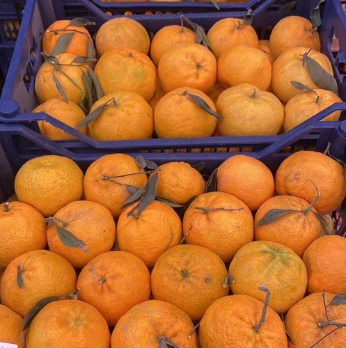 My Egyptian mandarin is a large basket