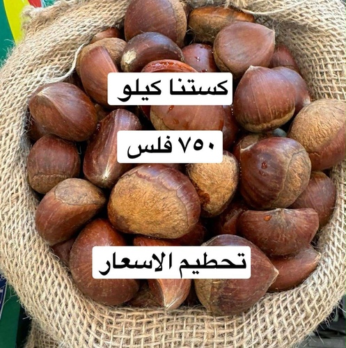 كستنه صيني كيلو