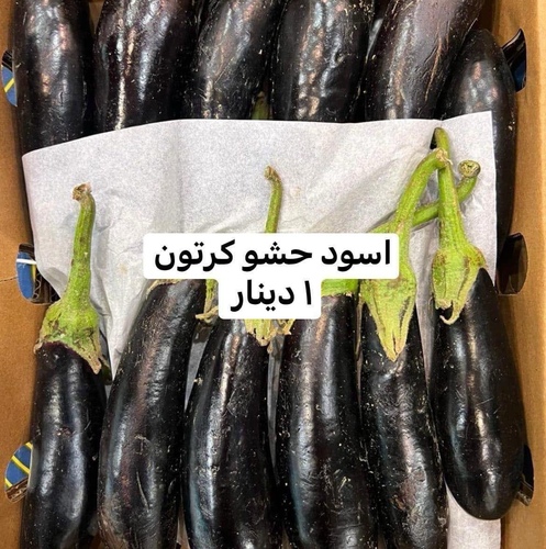 باذنجان حشو كرتون