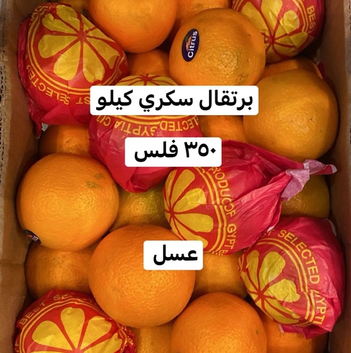 برتقال سكري كيلو