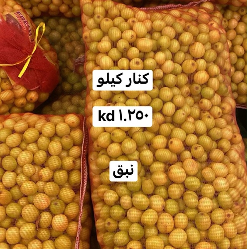 كنار كيلو