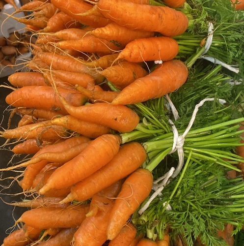 جزر بلدي  ربطه