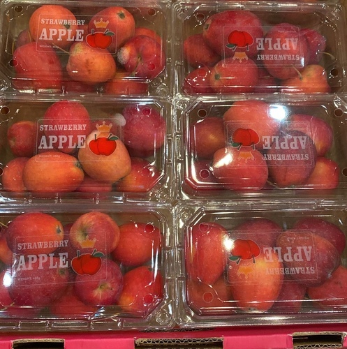 تفاح احمر  بيبي علبه