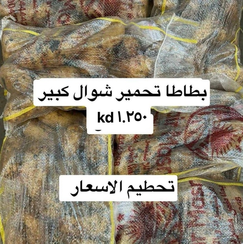 بطاطا تحمير شوال كبير