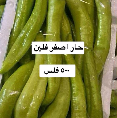 حار اصفر فلين