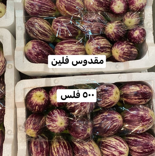 مقدوس فلين