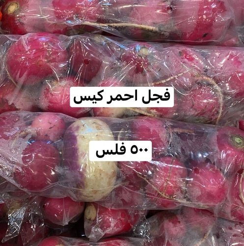 فجل احمر كيس