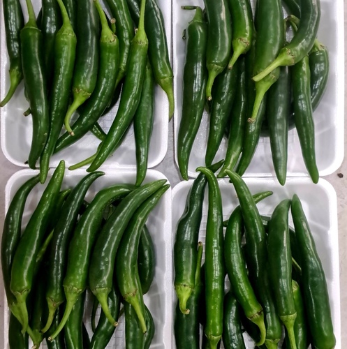 حار اخضر  طبق