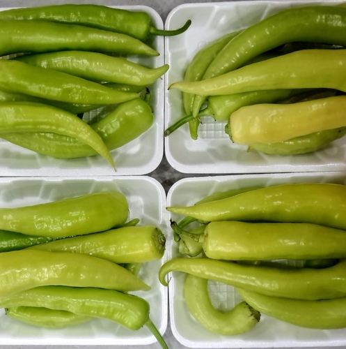 حار اصفر  طبق