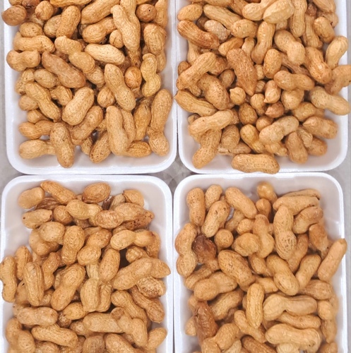 فول سوداني محمص  طبق