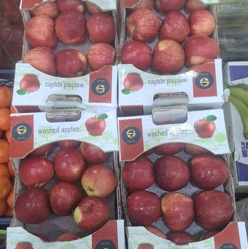 لوجي - تفاح احمر    كرتون