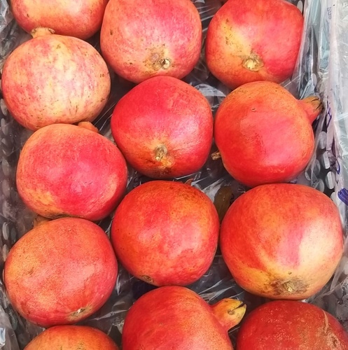 Pomegranate, Large