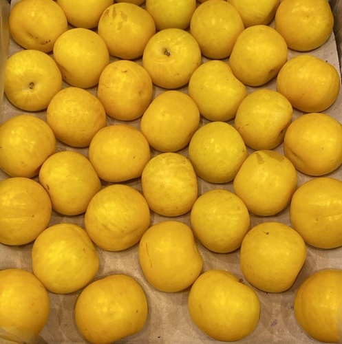 كوجا اصفر  كيلو