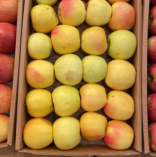 تفاح كولدن كرتون