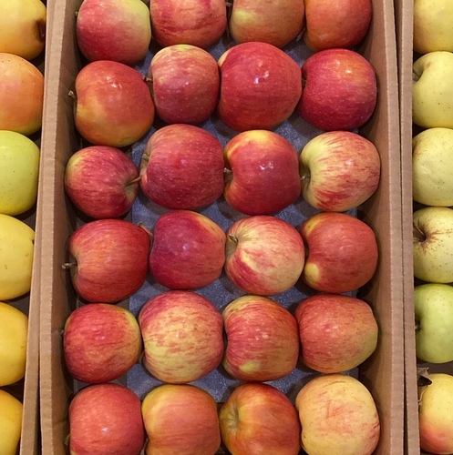 تفاح سكري كرتون