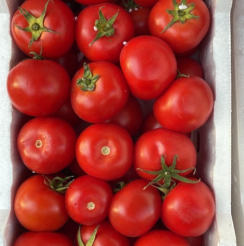- Tomatoes,