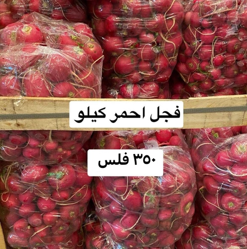 فجل احمر كيلو