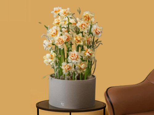 gogo - Unique vase with a beautiful flower arrangement from a Dutch flower mix to suit all tastes. Size: 45/30 cm