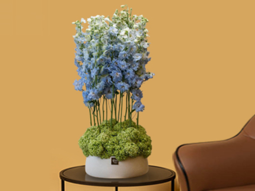 2big sho - Unique vase with a beautiful flower arrangement from a Dutch flower mix to suit all tastes. Size: 60/35cm